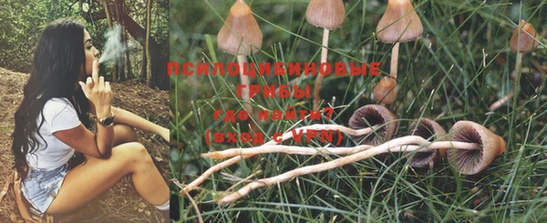 PSILOCYBIN Верхнеуральск