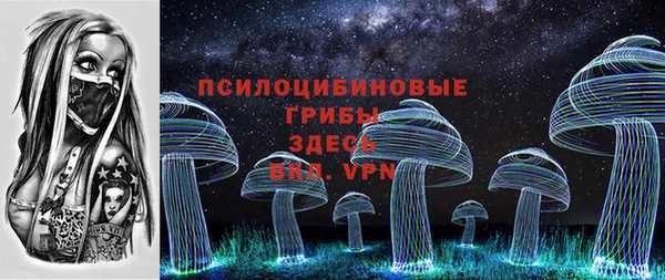 гидропоника Ладушкин