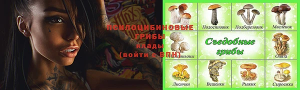 гашик Волоколамск