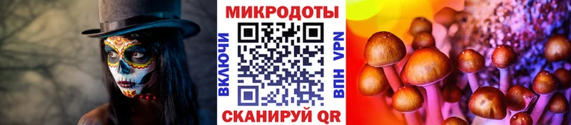 Псилоцибиновые грибы Psilocybe  что такое   Ишимбай 